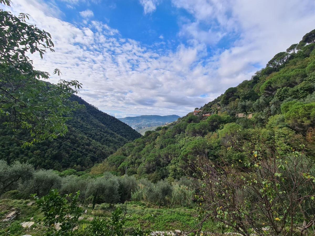 Castrusso Il Frantoio Di Rapallo By Portofinovacanze Dış mekan fotoğraf