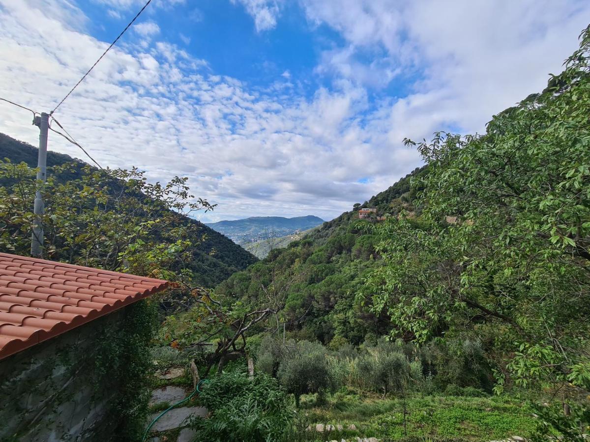 Castrusso Il Frantoio Di Rapallo By Portofinovacanze Dış mekan fotoğraf