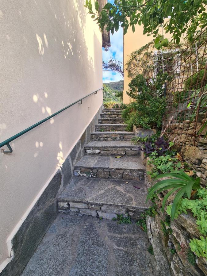Castrusso Il Frantoio Di Rapallo By Portofinovacanze Dış mekan fotoğraf